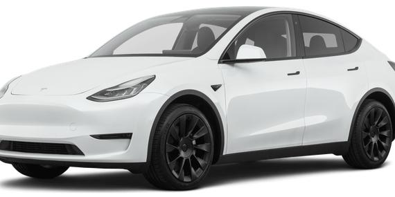 TESLA MODEL Y 2021 5YJYGDEE5MF296280 image